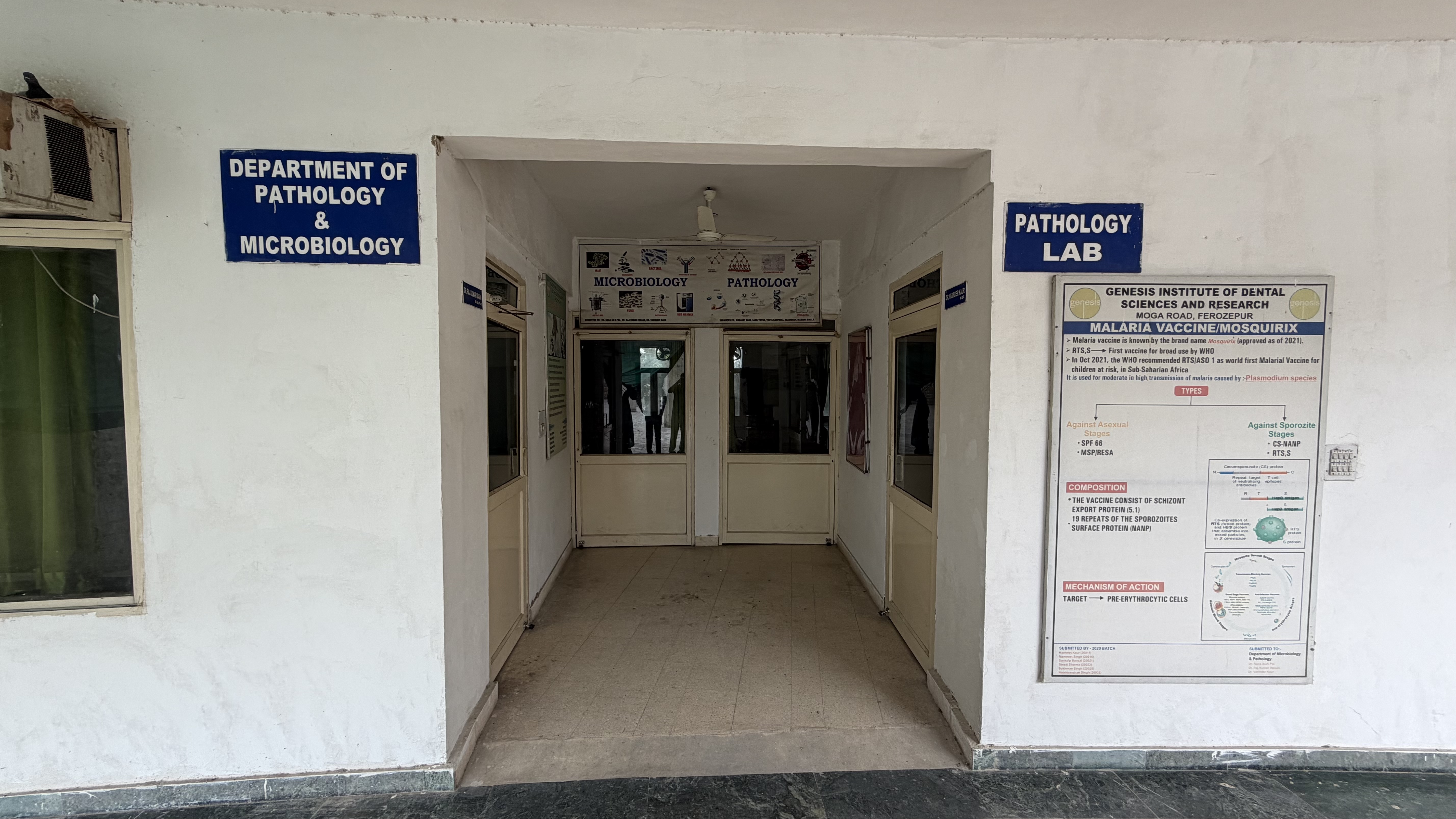 Oral & Maxillofacial Pathology & Microbiology